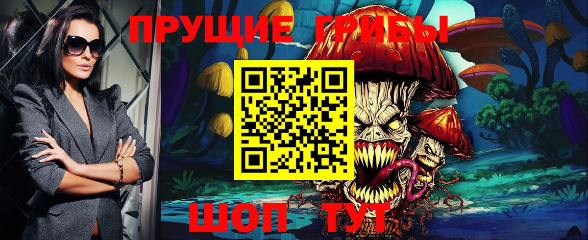 Псилоцибиновые грибы Psilocybe Чайковский